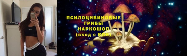 дмт Алексеевка