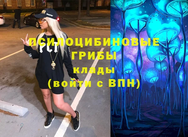 дмт Алексеевка