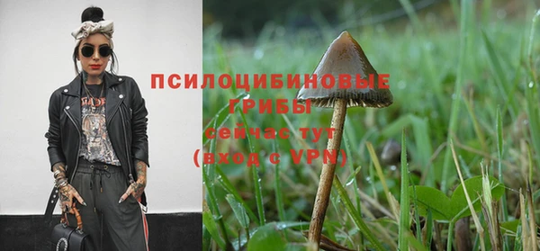 каннабис Алзамай