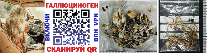 Галлюциногенные грибы Psilocybine cubensis omg tor Томмот