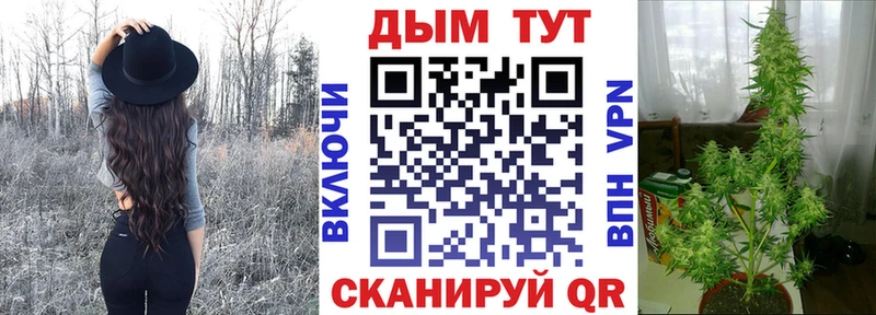 Конопля MAZAR Томмот